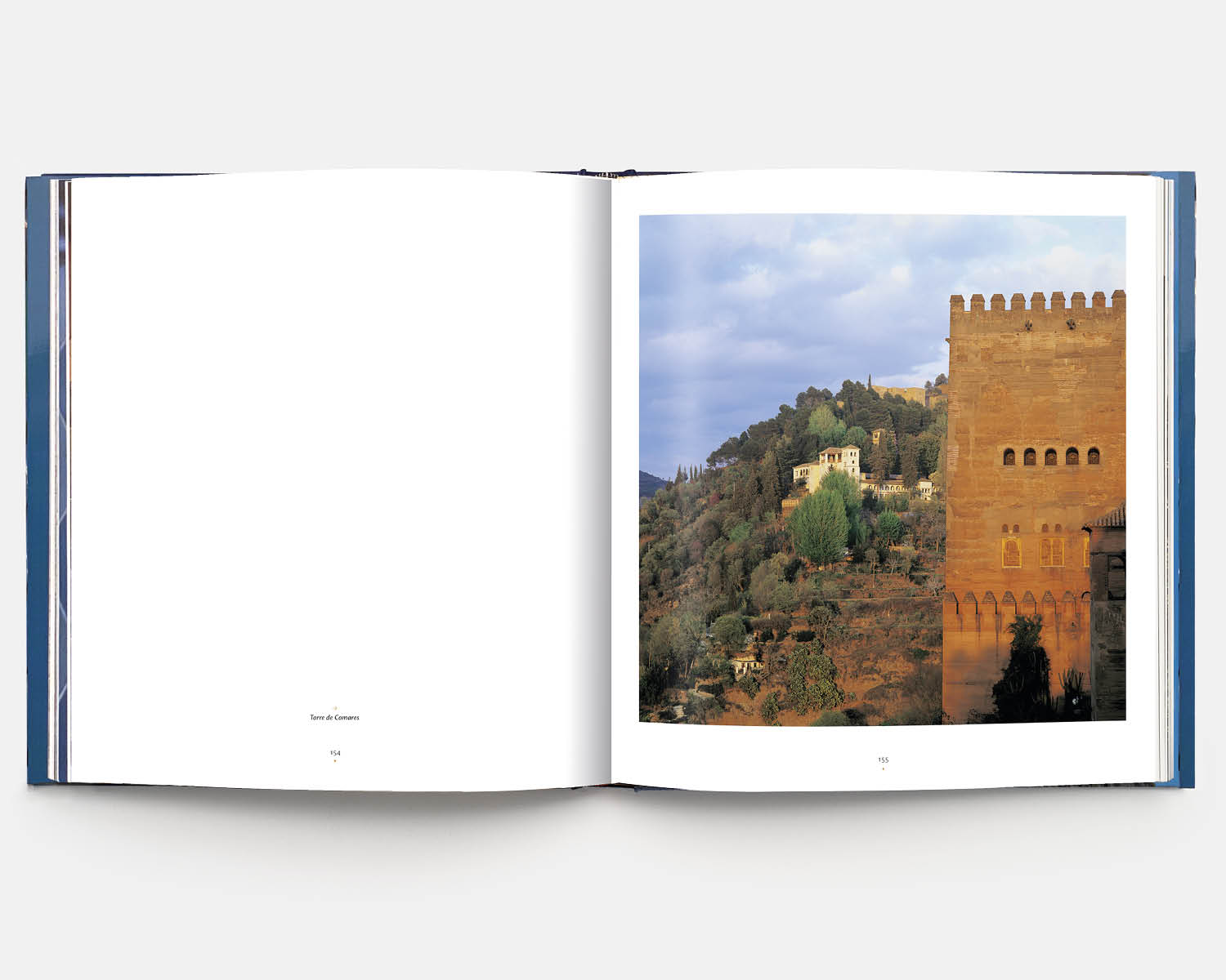 The Alhambra of Granada al2 11