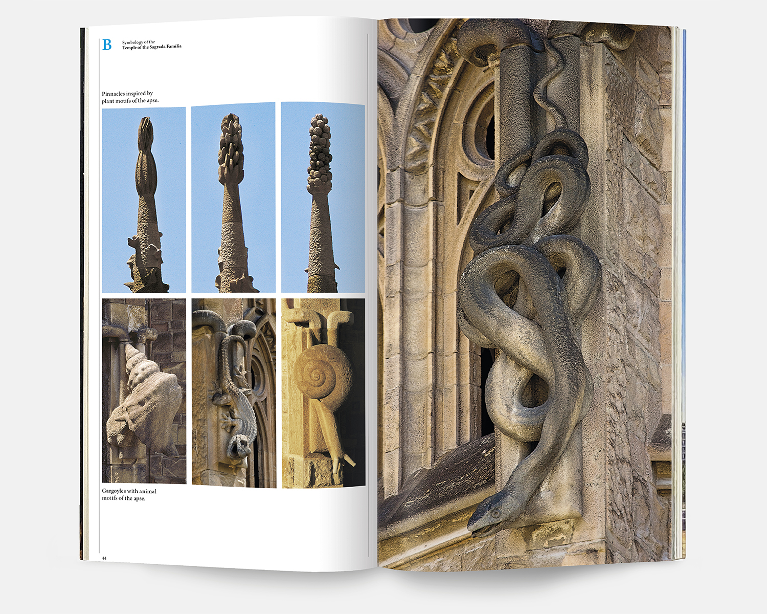 Symbologie du Temple de la Sagrada Família ssf 4