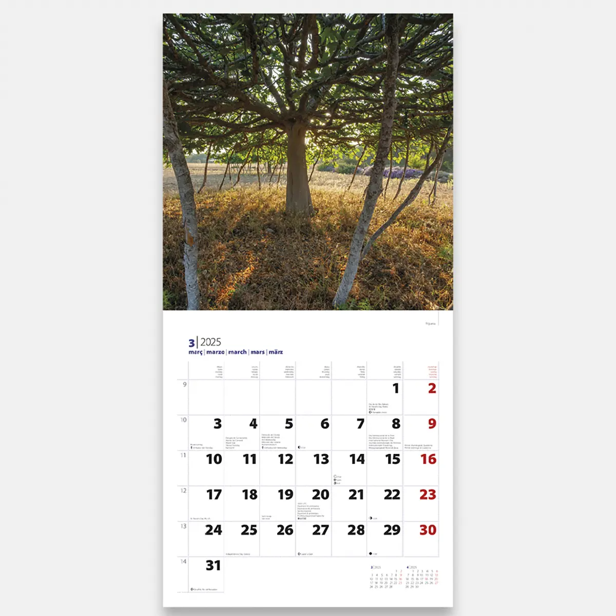Calendrier 2025 Formentera 25forg4 calendario pared 2025 formentera