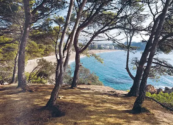 La travessa de la Costa Brava