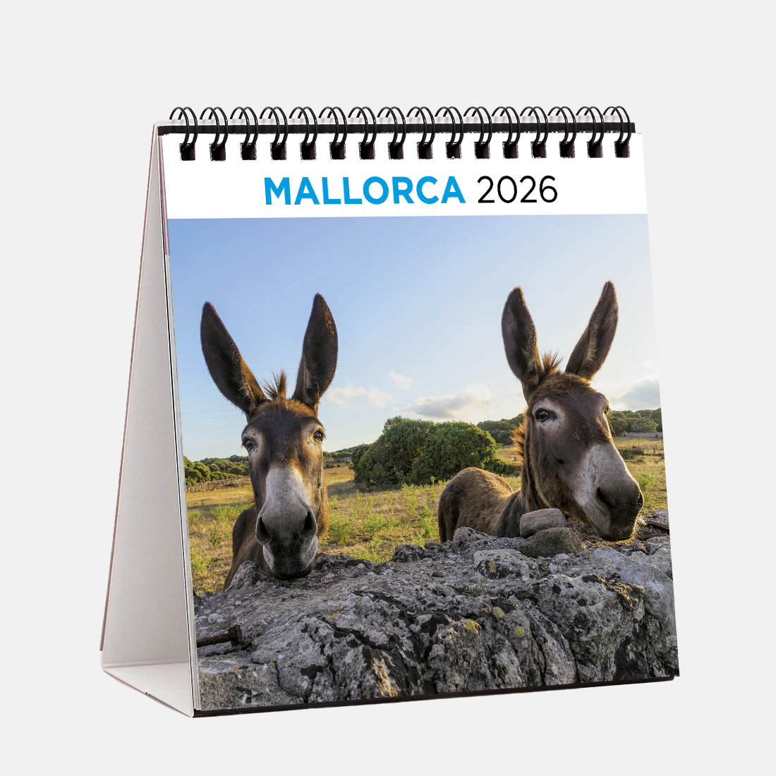 Calendari 2026 Sobretaula Mallorca-2 (Someres) s26ma2 calendario sobremesa 2026 mallorca2